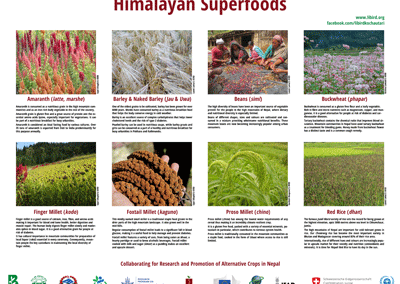 Himalayan Superfoods