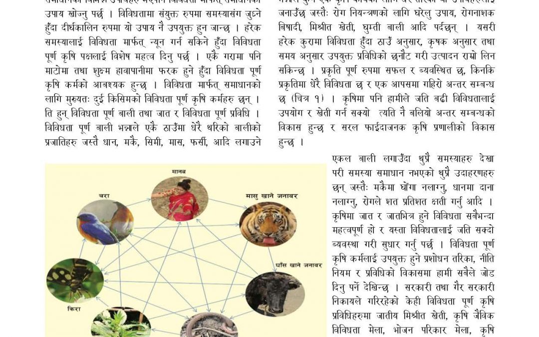 विविधता मार्फत समाधान (Diversity rich solution)